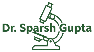 IMG_6995-removebg-preview